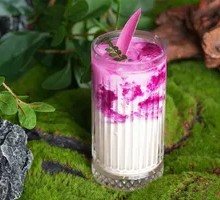 Dragon Fruit Buffalo Milk