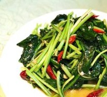 Stir-Fried Isatis Root