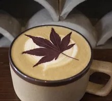 Maple Oat Latte