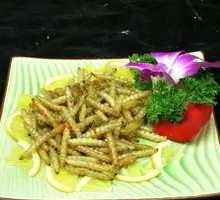 Roasted Bamboo Worm