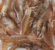 Aluminum Foil Prawn