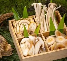 Mixed Wild Mushroom Platter