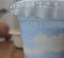 Blue Algae Probiotic Avocado Yogurt