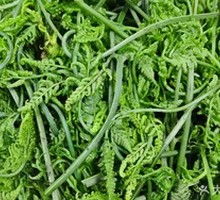 Bitter Herb with Sauce