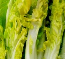 Bok choy
