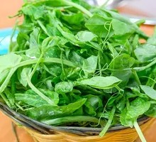 Bean Sprout Greens