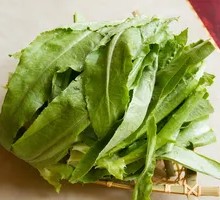 Bamboo Shoot Tips