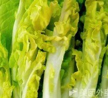 Bok choy