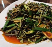 Fiddlehead Fern