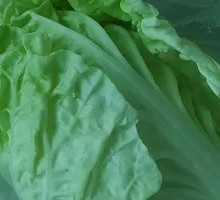 Baby bok choy
