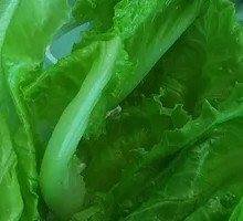 Lettuce