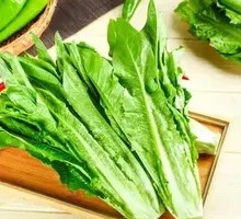 Oilseed lettuce