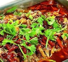 Spineless Sea Bass