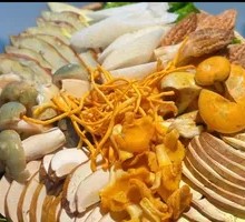 Mixed Wild Mushroom Platter