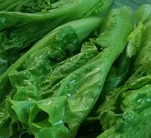 Lettuce