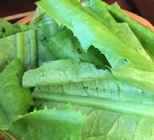 Bamboo Shoot Tips