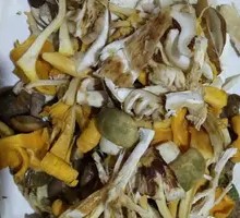 Large Plate Wild Mushrooms
