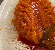 Squirrel Fish