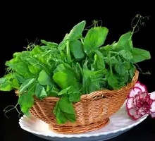 Pea Shoots