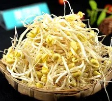 Bean sprouts