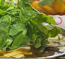 Bean Sprout Greens