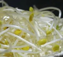 Bean sprouts