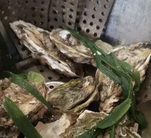 Pressure Cooker Rushan Fresh Oysters