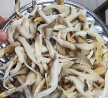 Artificial Mushroom