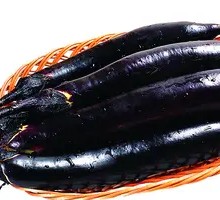 Eggplant