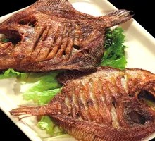 Mudskipper Fish
