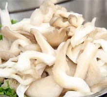 Artificial Mushroom