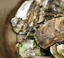 Pressure Cooker Oysters