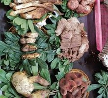 Fresh Wild Mushrooms