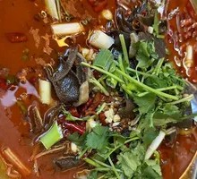 Spicy and Sour Tripe