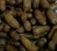 Signature Shelled Peanuts