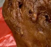 Black Duck Head