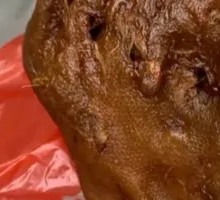Black Duck Head