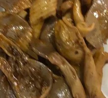 Duck Trachea