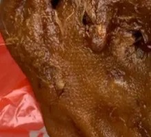 Black Duck Head