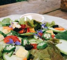 Organic Vegetable Salad