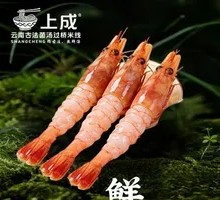 Fresh Shrimp