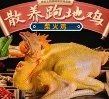Free-range Chicken
