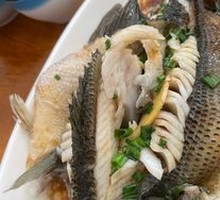 Steamed Sea Bass