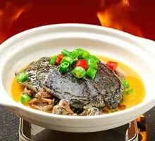 Braised Softshell Turtle
