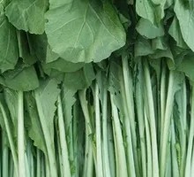 Bitter Vegetable Sprouts