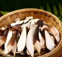 Cangshan Chicken Mushroom