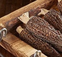 Morel Mushroom