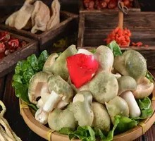 Green-headed Mushroom