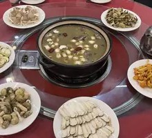 Blue-staining Mushroom