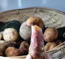 Red Onion Mushroom